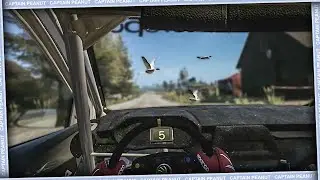 I hit a bird with my rally car