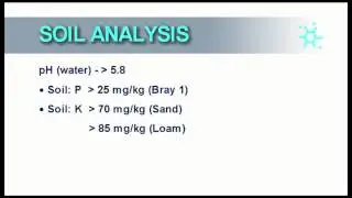 Soybean Cultivation: 07 Fertilisation - Wessel van Wyk
