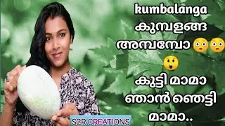 കുമ്പളങ്ങ Secret ||  Kumbalanga nights || Nari kumbalanga || S2R CREATIONS