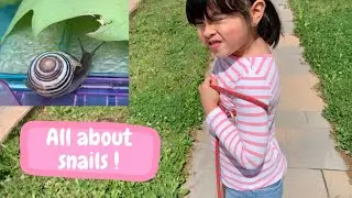 Learn about Snails. Includes Snail Trail Poem and Snail Arts and Crafts