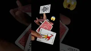 Combining Cardistry and Magic
