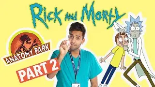 REAL DOCTOR reacts to Rick And Morty 