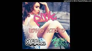 Pink - Who Knew ( Ciaran Campbell & Aaron Gibson Bootleg )