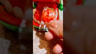ASMR/Feeding Croco Orangw Life Savers Candy #shorts #asmr #viral #viralvideo #satisfying #lifesavers