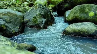 Flowing River Sounds for Sleep & Relaxation