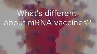 Top COVID-19 vaccine questions answered
