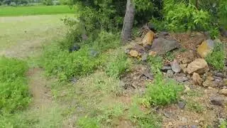 Project-242 74 Cents Wet land property with South West facing just 4kms from Thirukazhukundram