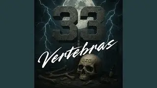 VERTEBRAS
