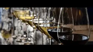 Tastes Of The Hunter Wine Tours | Hunter Valley Wine Tours from Sydney