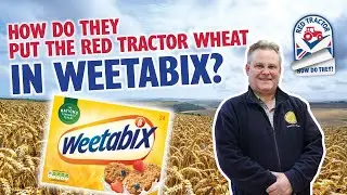 How Do They put the Red Tractor wheat in Weetabix? Part 4