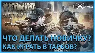 Escape from Tarkov: Что делать новичку? С чего начать? Гайды и обучение! Версия 0.10.5