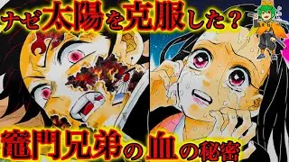 禰豆子＆炭治郎が太陽を克服できた理由は◯◯◯...本誌では明かされていない
