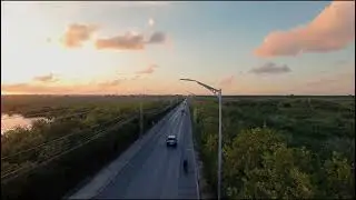 Empezando prueba con @dji Neo en manglar  de Puerto Morelos 