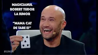 IUMOR - MAGIE - MAMA CAT DE TARE E