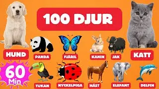 100 Popul&auml;ra Djur Och Insekter i V&auml;rlden | Svenska Ord F&ouml;r Barn | Djurnamn Att L&auml;ra Sig