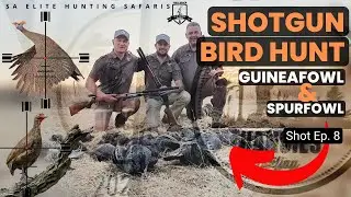 IMPACT Shots BIRD HUNT South Africa