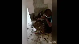 The Best Way To Find Hidden Water Leaks 🇿🇦 #leakdetection #plumbing #shorts