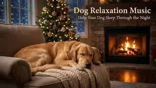 Dog Relaxation Music | Help Your Dog Sleep Through the Night