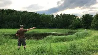Sole water retrieve - June 25, 2018