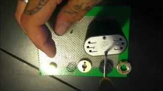 how to clean your noisy cricket for better usage