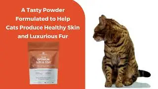 Feline Optimum Skin & Coat | Supplement to ensure for your cat's skin and fur are luxurious.