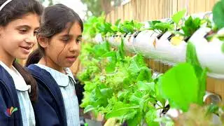 HYDROPONIC GARDEN IN WISDOM COLLEGE
