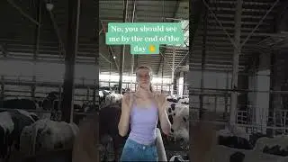 Cows Stealing the Scene #womeninag #farmers #pa