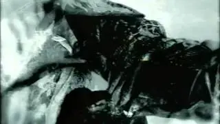 Mushroomhead - Sun Doesn't Rise 720p.
