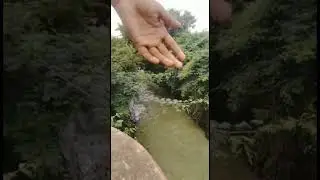 Dam view (Please visit the place, very peaceful & beautiful nature) #dam #1million #subscribe #1k