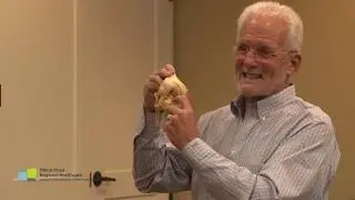 HEALTHY LIVING | Dr. Kirk Johnson, Orthopedic Surgeon | December 2018 | WHHITV