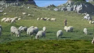 Maih Massibé (Vallée d´Ossau)