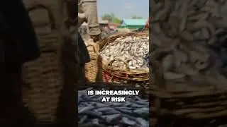 The Shocking Truth About How Humans are Destroying Our Rivers