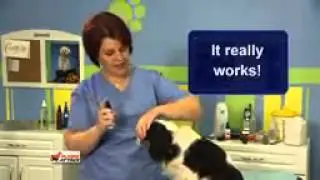 Plaque Attack Dental Spray For Dogs
