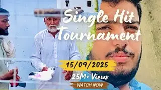 &ldquo;Uncle Akhter ke Pigeons | Aaj ka Zabardast Tournament 🕊️🔥&rdquo;