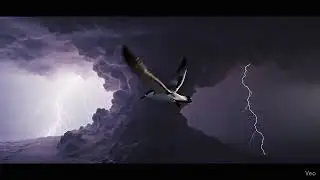 &ldquo;Climate Change Through One Bird&rsquo;s Eyes&rdquo;