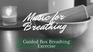 Daily Breathing Exercise for Beginners: Guided Box Breathing Meditation 5 Second Breath Hold Count.
