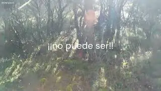 5 lances a la misma becada, eskerrikasko!!!