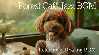 【 Jazz BGM】隠れ家カフェ、やさしい午後〜Forest Café Jazz 〜