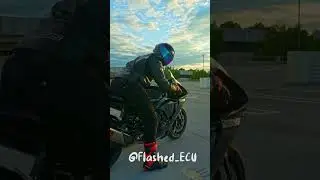 2023 Yamaha R1 /w Full Titanium Akrapovic Exhaust COLD START!! **LOUD** #shorts #viral