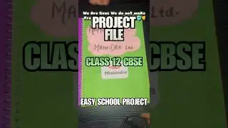 Accountancy Project File (Mahindra Ltd.) CLASS 12 CBSE