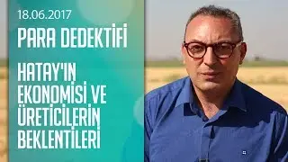 Hatay'ın ekonomisi ve üreticilerin beklentileri -  Para Dedektifi 18.06.2017 Pazar