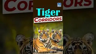 Tigers Corridor | Daily News Analysis | DNA Short | NEXT IAS #tiger