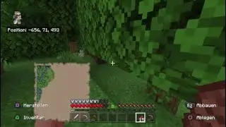 Minecraft schwer #3