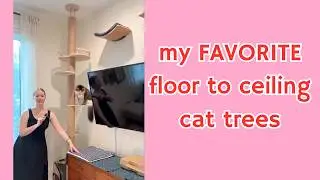 I got 3 AMAZING Bedoo floor to ceiling cat trees - up to 119 inches!
