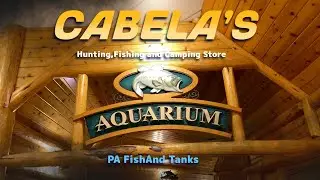 Cabela's Store we Visit there Amazing Native Aquarium