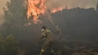 Deaths reported as Greece wildfires spread, forcing evacuations &bull; FRANCE 24 English