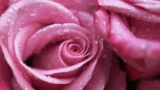 018 - Soorah Al-Kahf - recited by Gwani Dahir