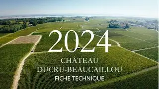 DUCRU-BEAUCAILLOU 2024 PRIMEURS 2024 - FICHE TECHNIQUE