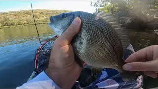 Bream fishing with Tiemco Soft Shell Cicada's and Zman GrubZ