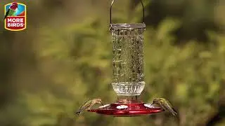 More Birds&reg; Classic Vintage Hummingbird Feeder